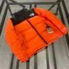 Chaqueton The North Face Naranja - Imagen 3